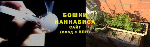 PSILOCYBIN Богданович