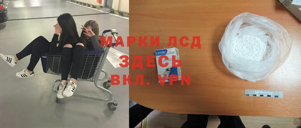 PSILOCYBIN Богданович