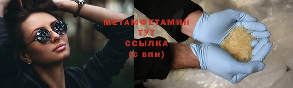 прущие грибы Бронницы