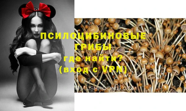 PSILOCYBIN Богданович