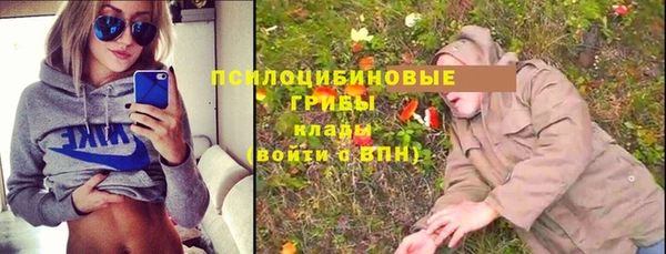 прущие грибы Бронницы