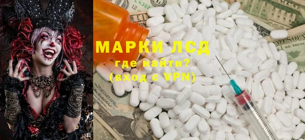 прущие грибы Бронницы