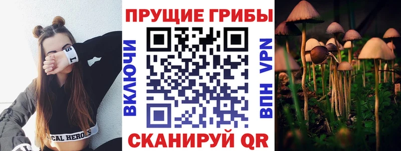 Галлюциногенные грибы мухоморы  Нерюнгри 